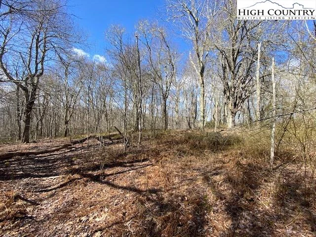 Image number 9 for the current listing