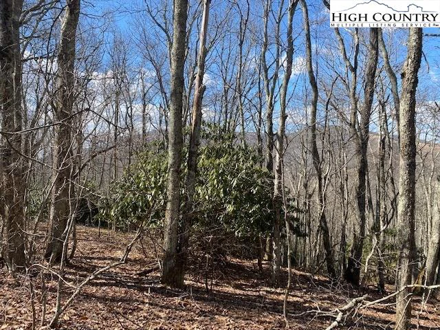Image number 5 for the current listing