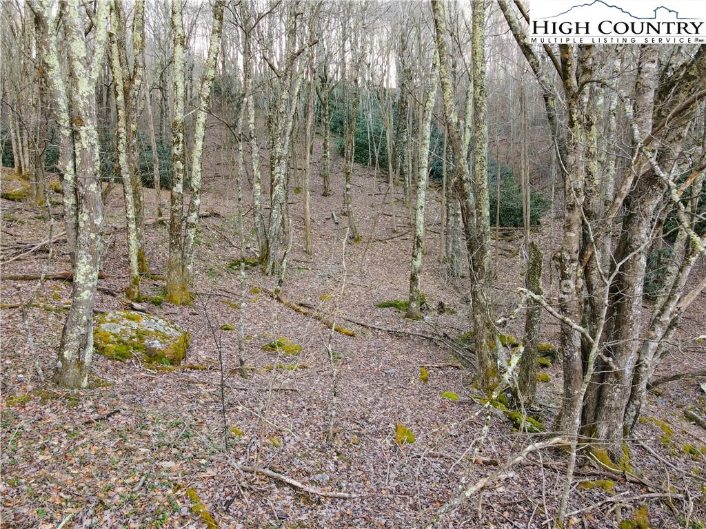 Image number 20 for the current listing