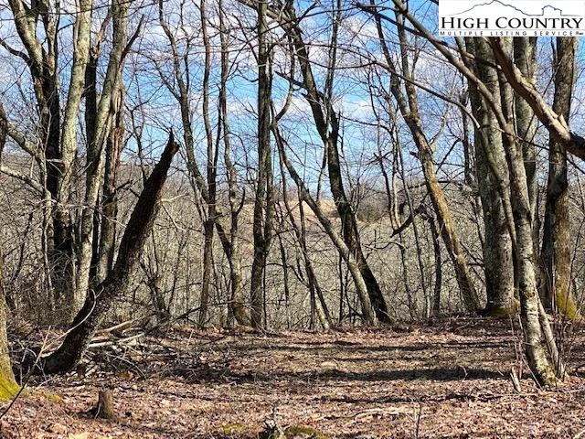 Image number 3 for the current listing