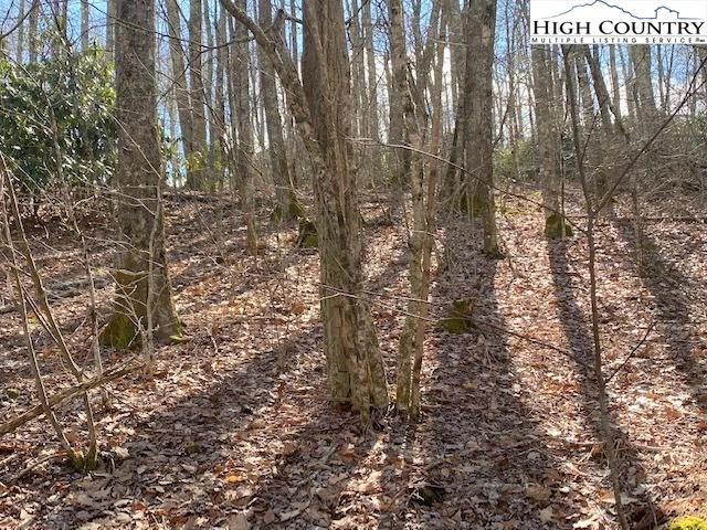 Image number 16 for the current listing
