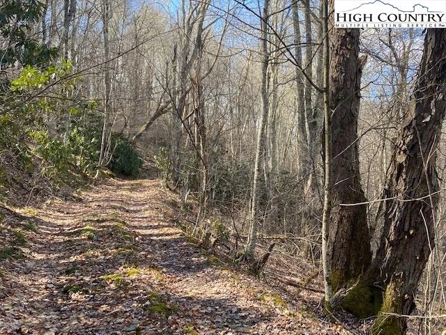 Image number 14 for the current listing