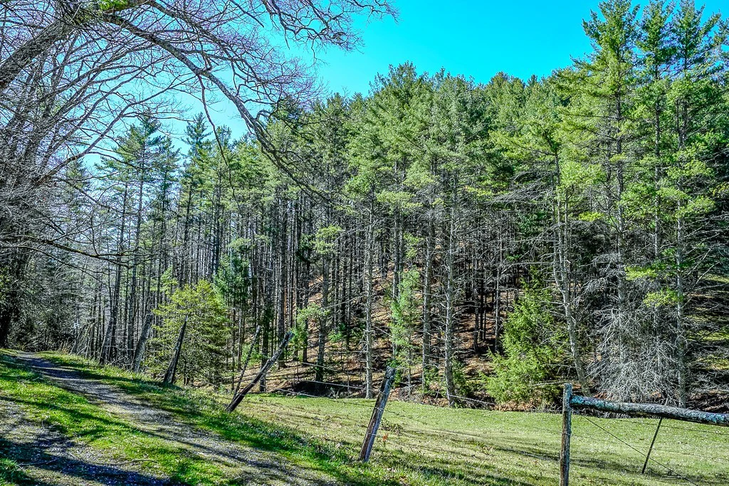 Image number 1 for the current listing