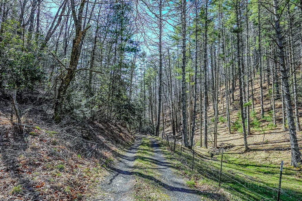 Image number 20 for the current listing