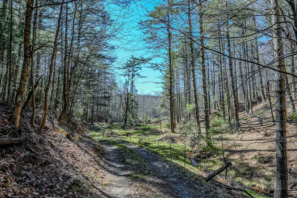 Image number 15 for the current listing