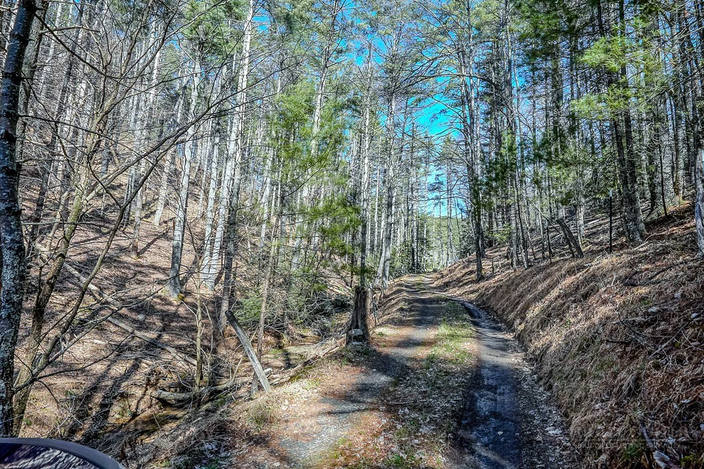 Image number 2 for the current listing