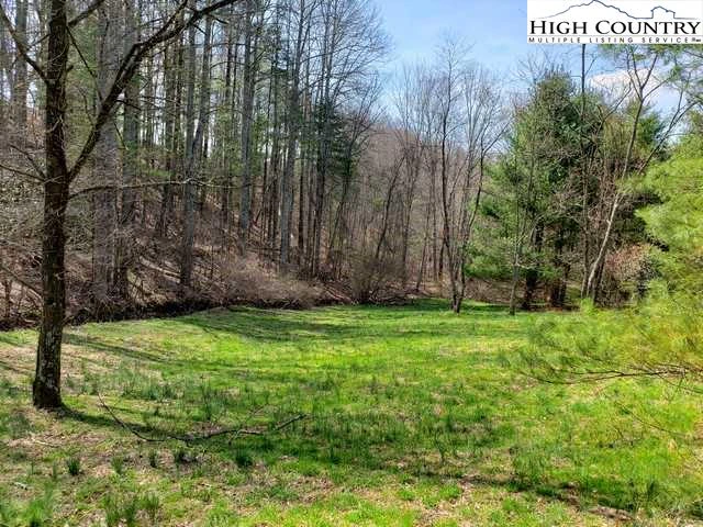 Image number 16 for the current listing