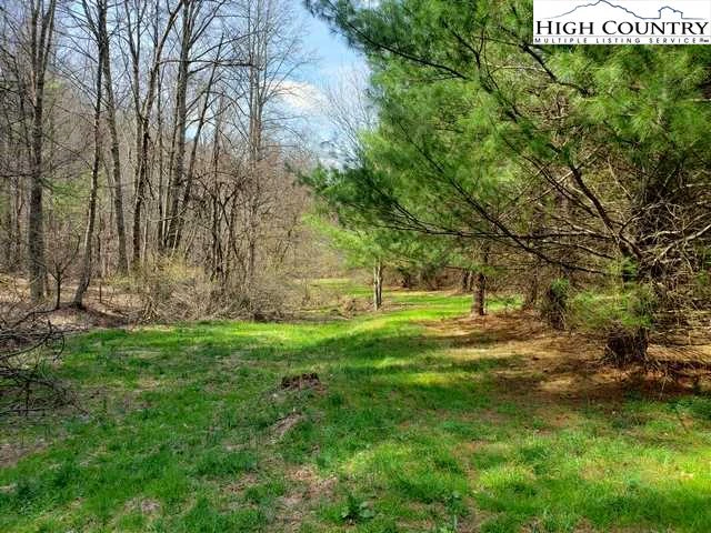 Image number 15 for the current listing