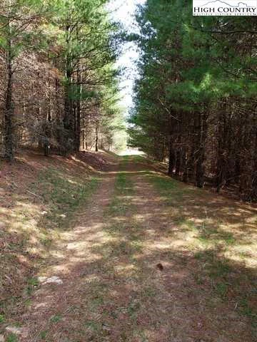 Image number 7 for the current listing