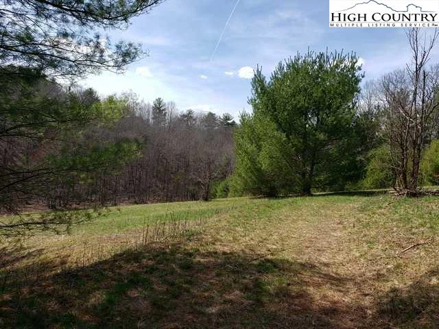 Image number 6 for the current listing