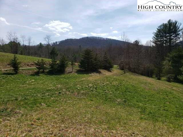 Image number 21 for the current listing