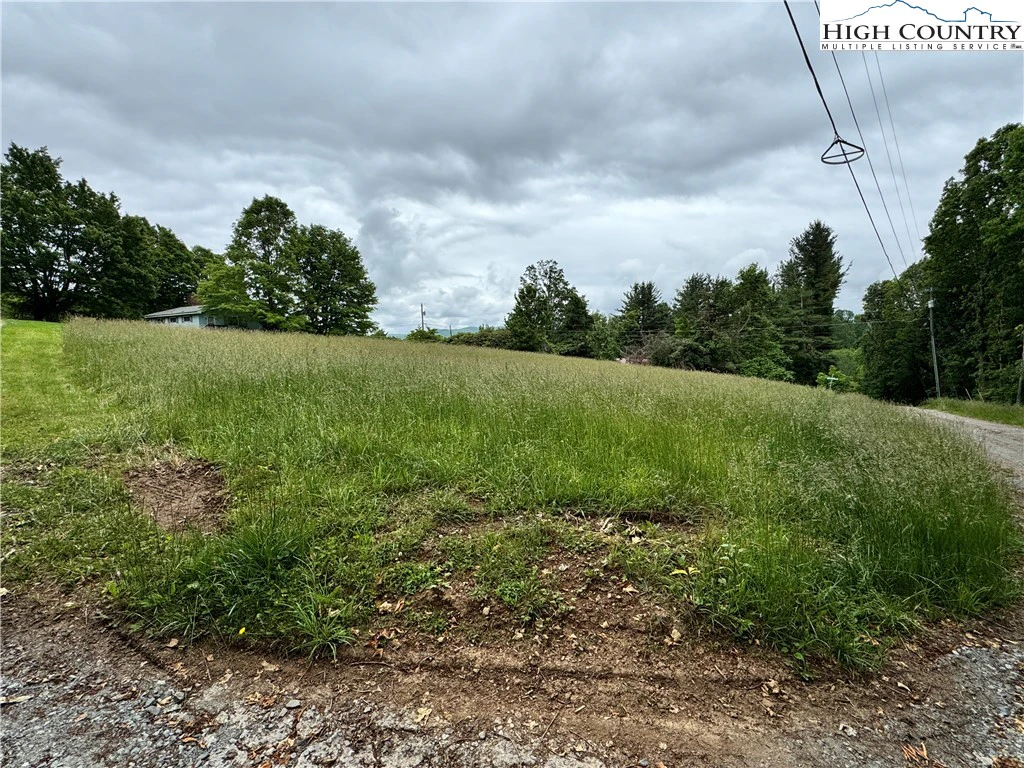Image number 1 for the current listing