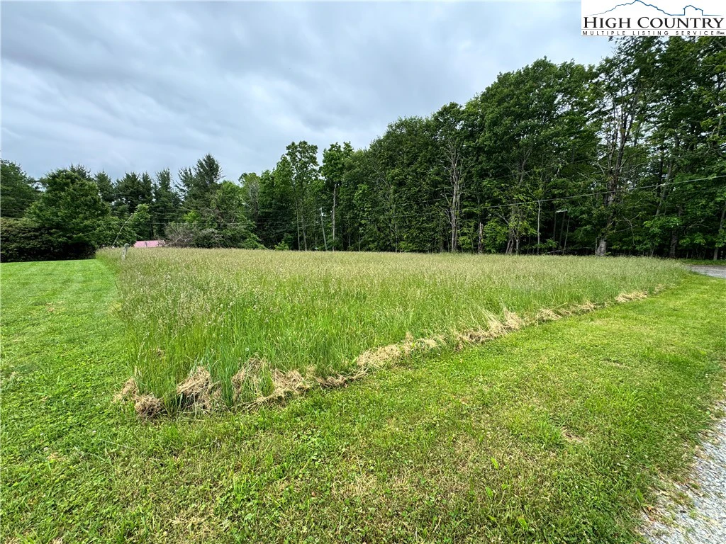 Image number 4 for the current listing
