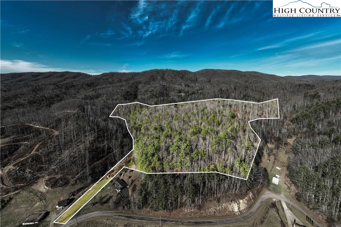 Image number 1 for the current listing