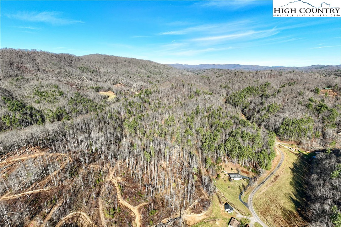 Image number 2 for the current listing