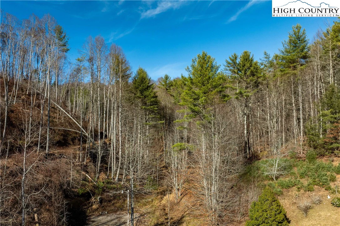 Image number 14 for the current listing