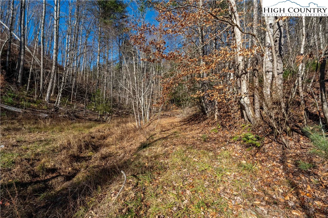 Image number 7 for the current listing