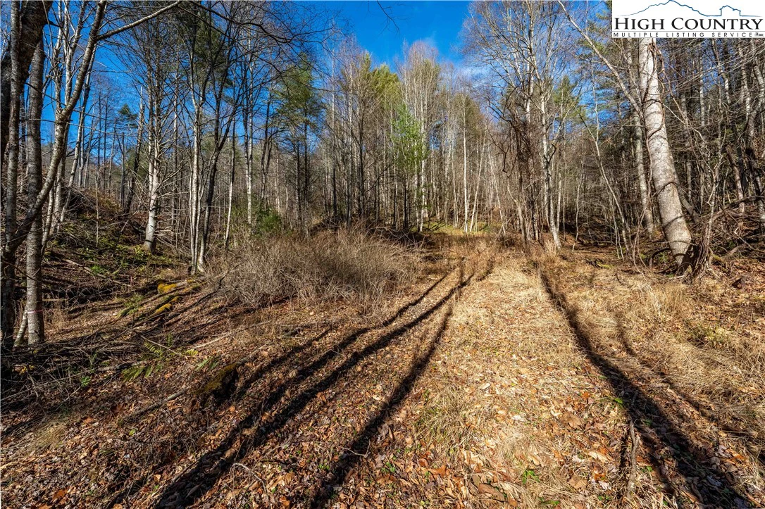Image number 5 for the current listing