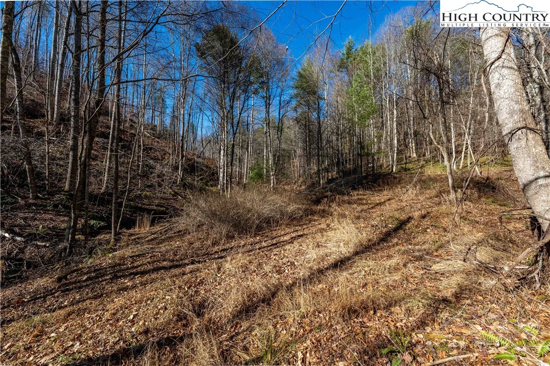 Image number 4 for the current listing