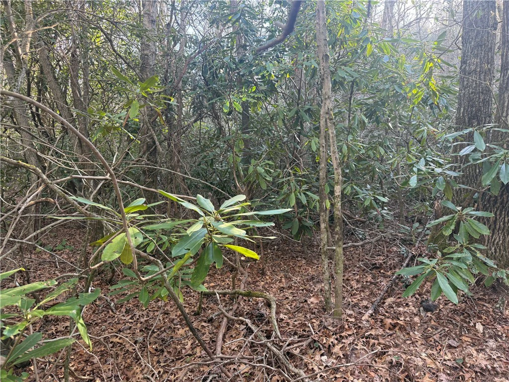 Image number 1 for the current listing