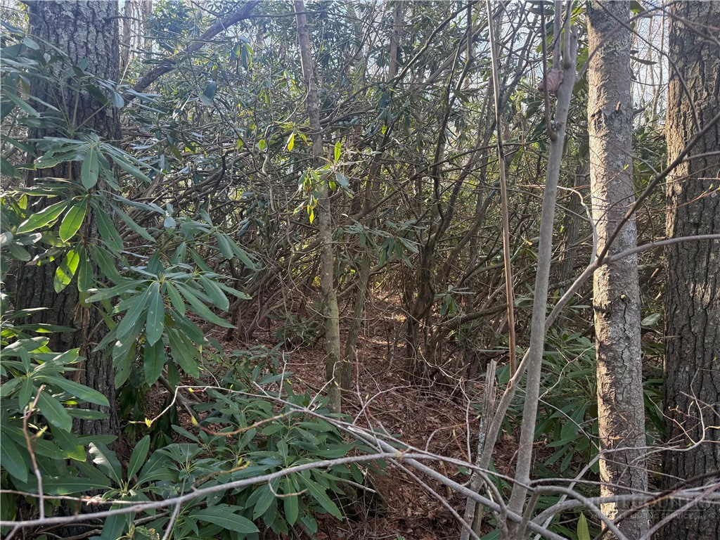 Image number 3 for the current listing