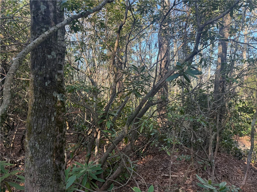 Image number 6 for the current listing