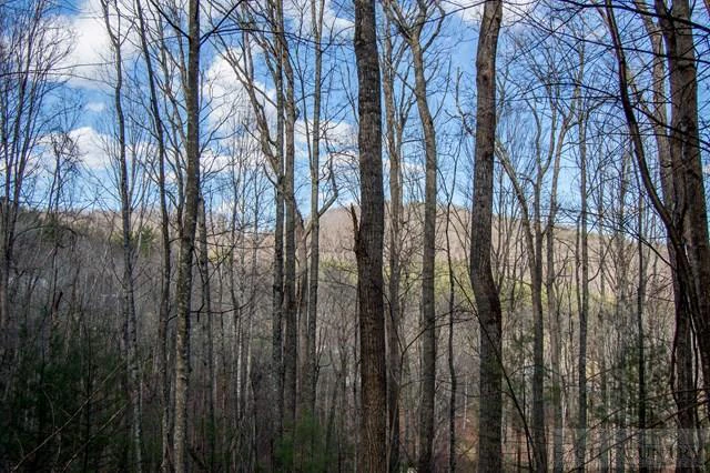 Image number 6 for the current listing