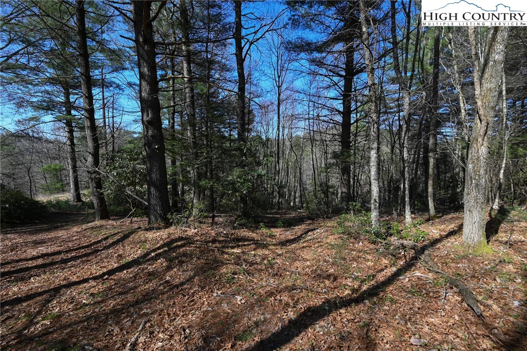 Image number 18 for the current listing