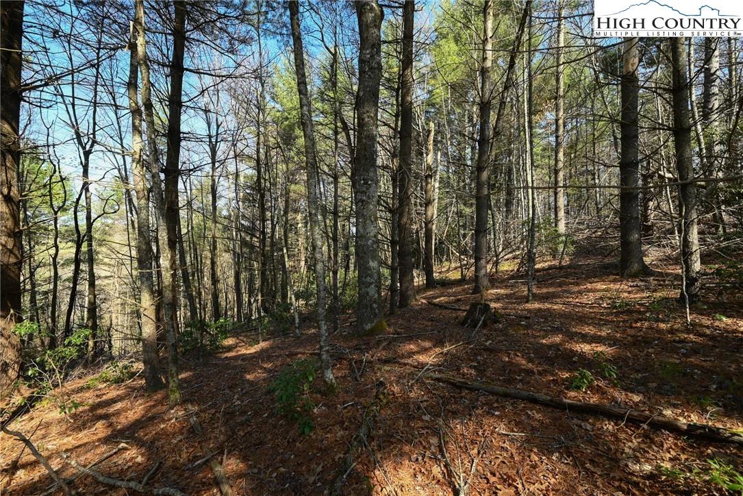 Image number 15 for the current listing