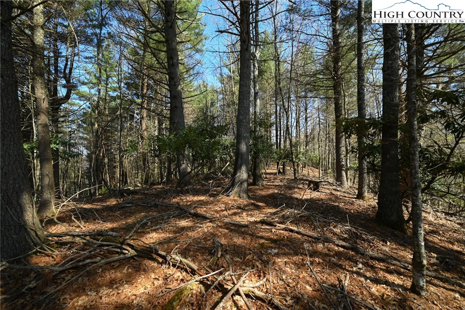 Image number 2 for the current listing