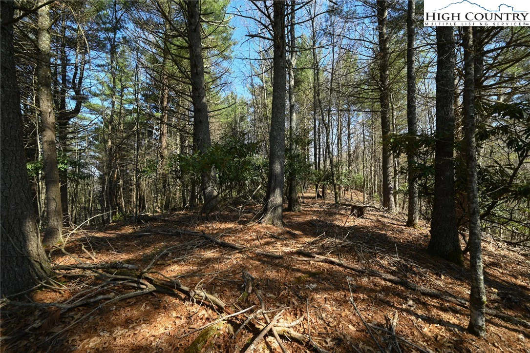 Image number 2 for the current listing