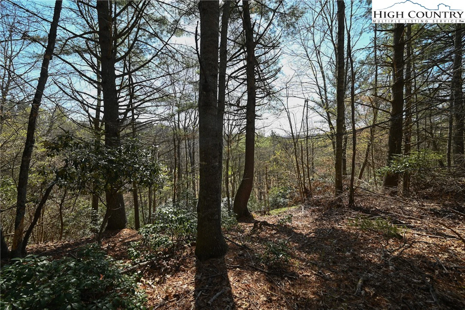 Image number 14 for the current listing