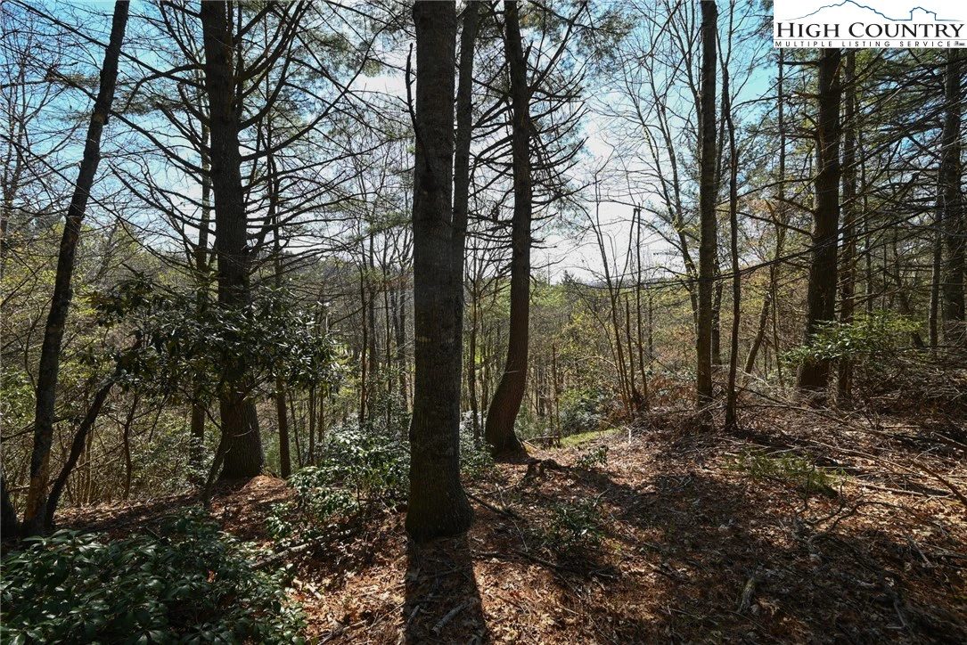 Image number 14 for the current listing