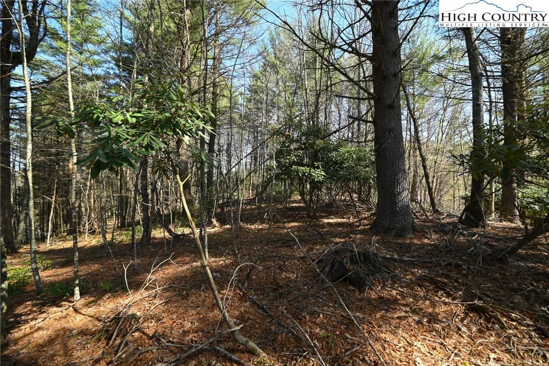 Image number 13 for the current listing