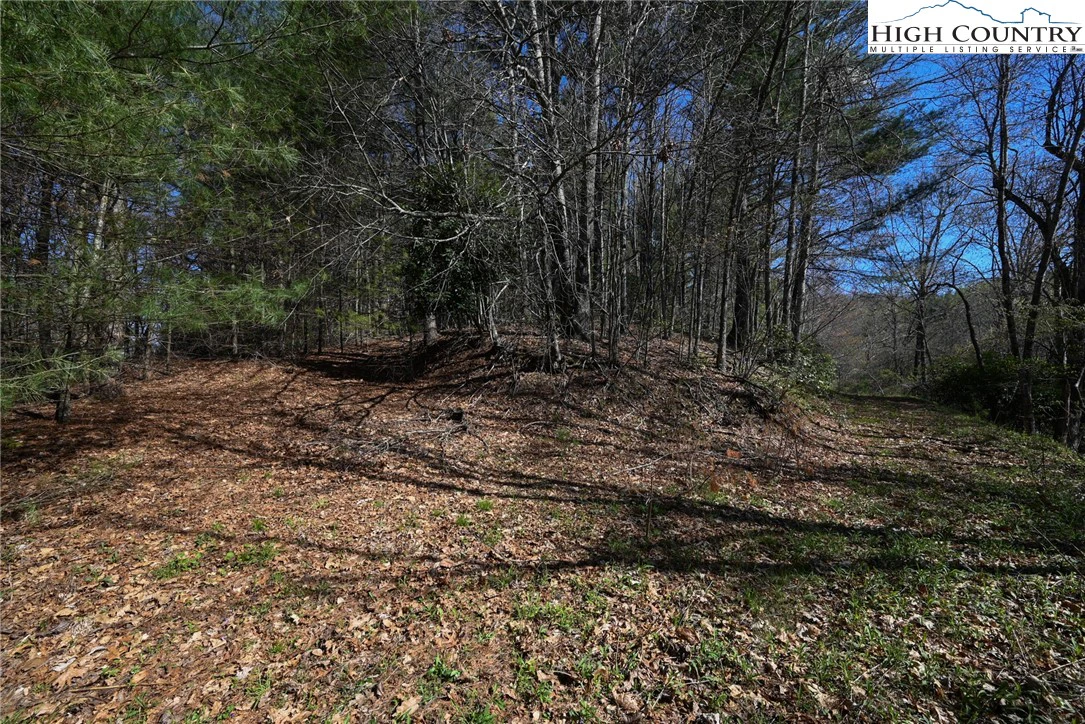 Image number 12 for the current listing