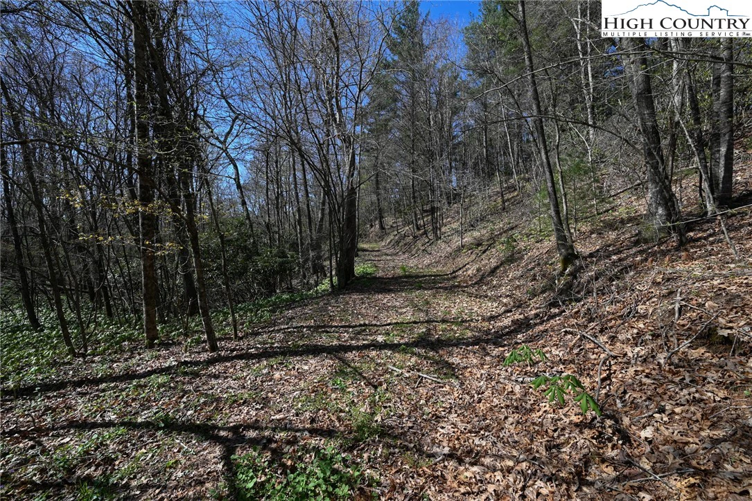 Image number 11 for the current listing