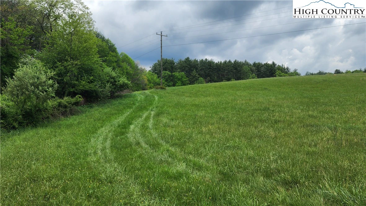 Image number 4 for the current listing