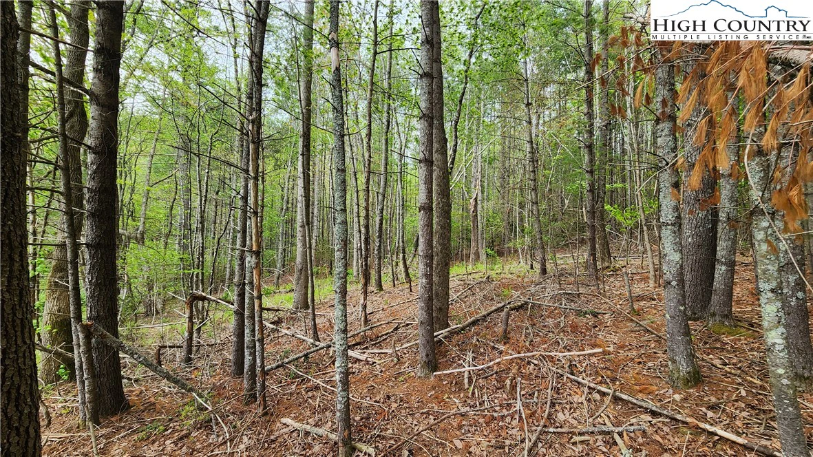 Image number 7 for the current listing