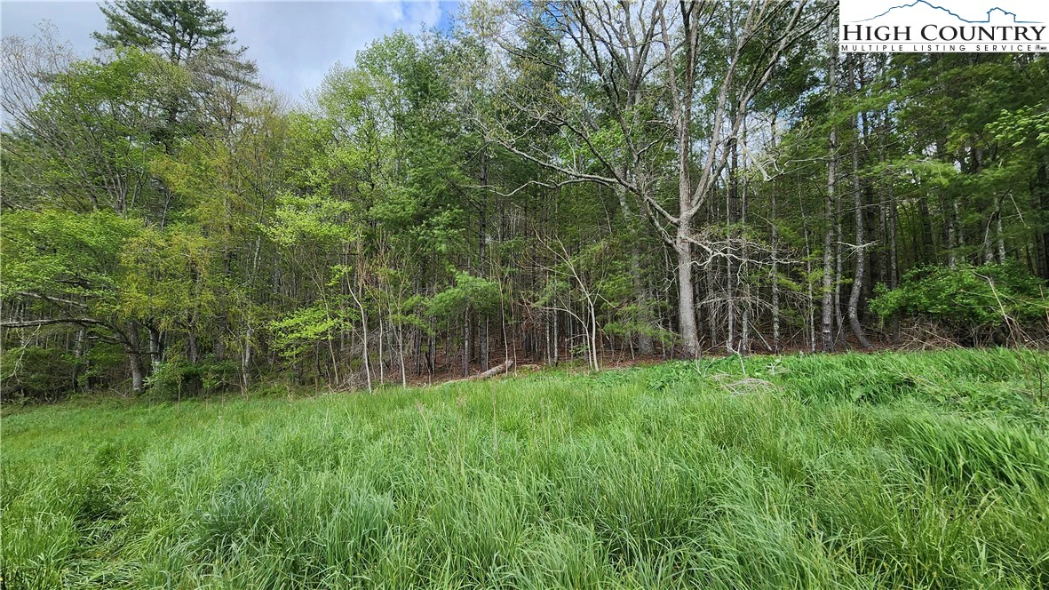 Image number 8 for the current listing