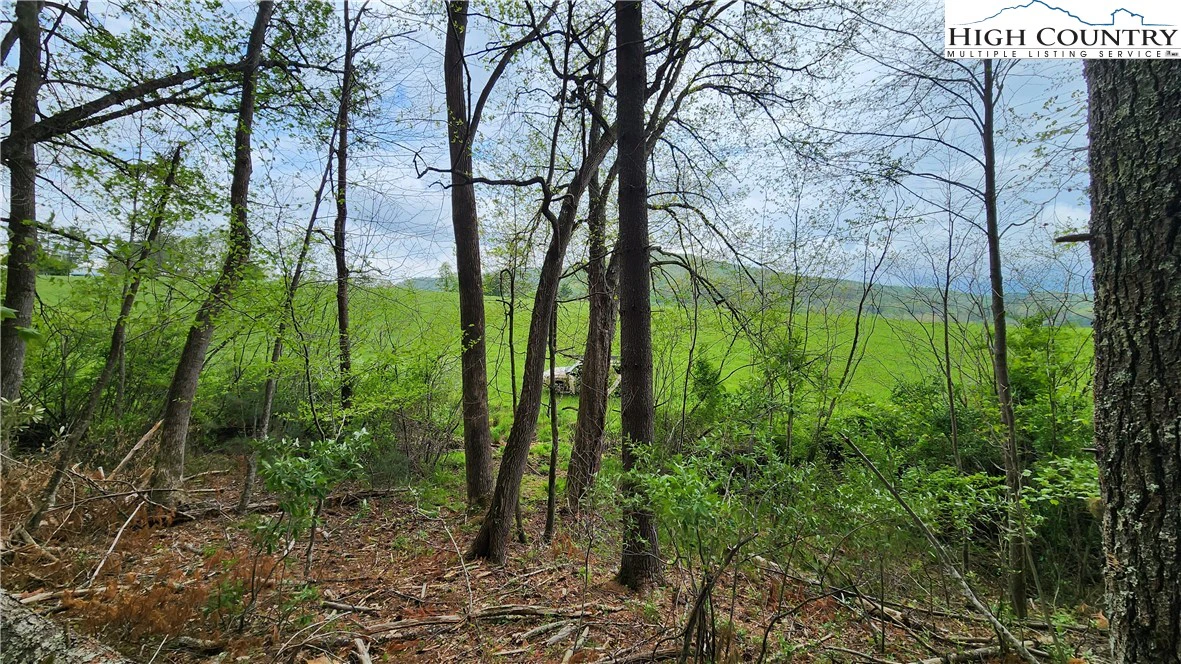 Image number 9 for the current listing