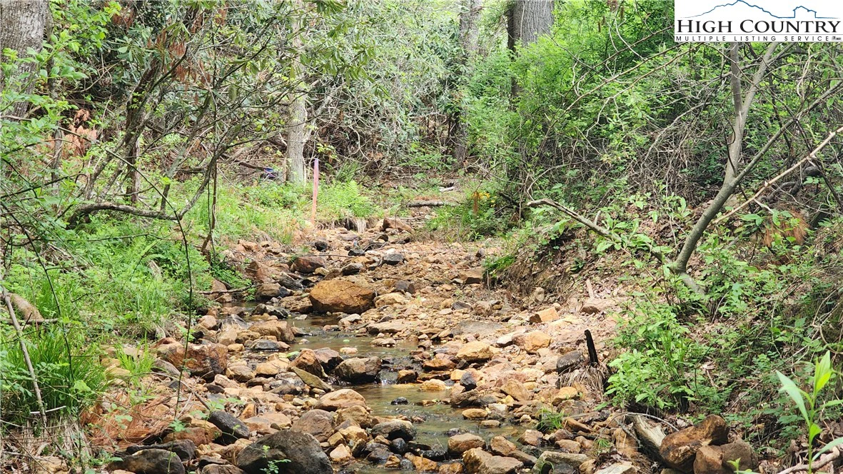 Image number 12 for the current listing