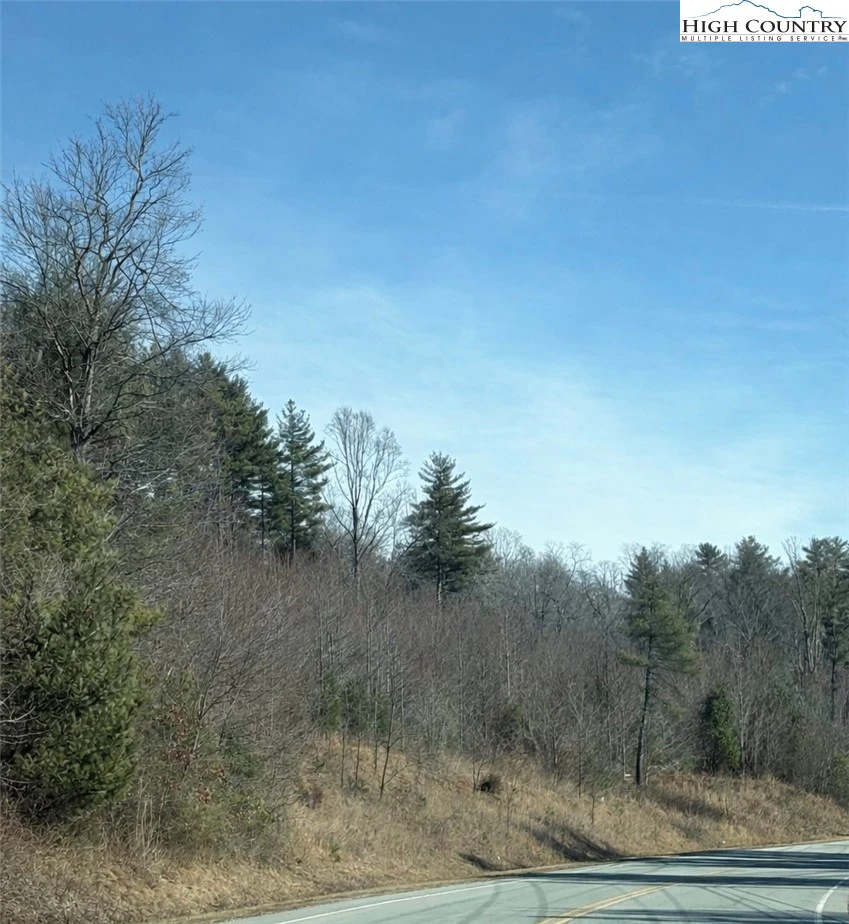 Image number 1 for the current listing