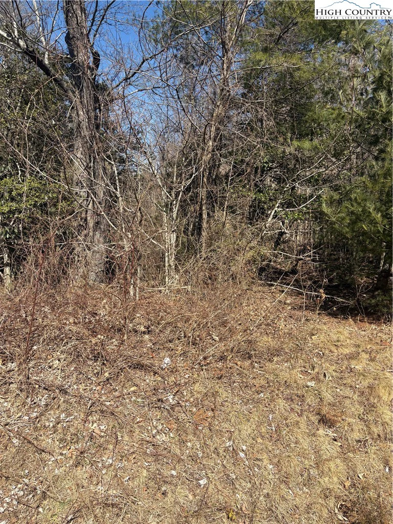 Image number 5 for the current listing