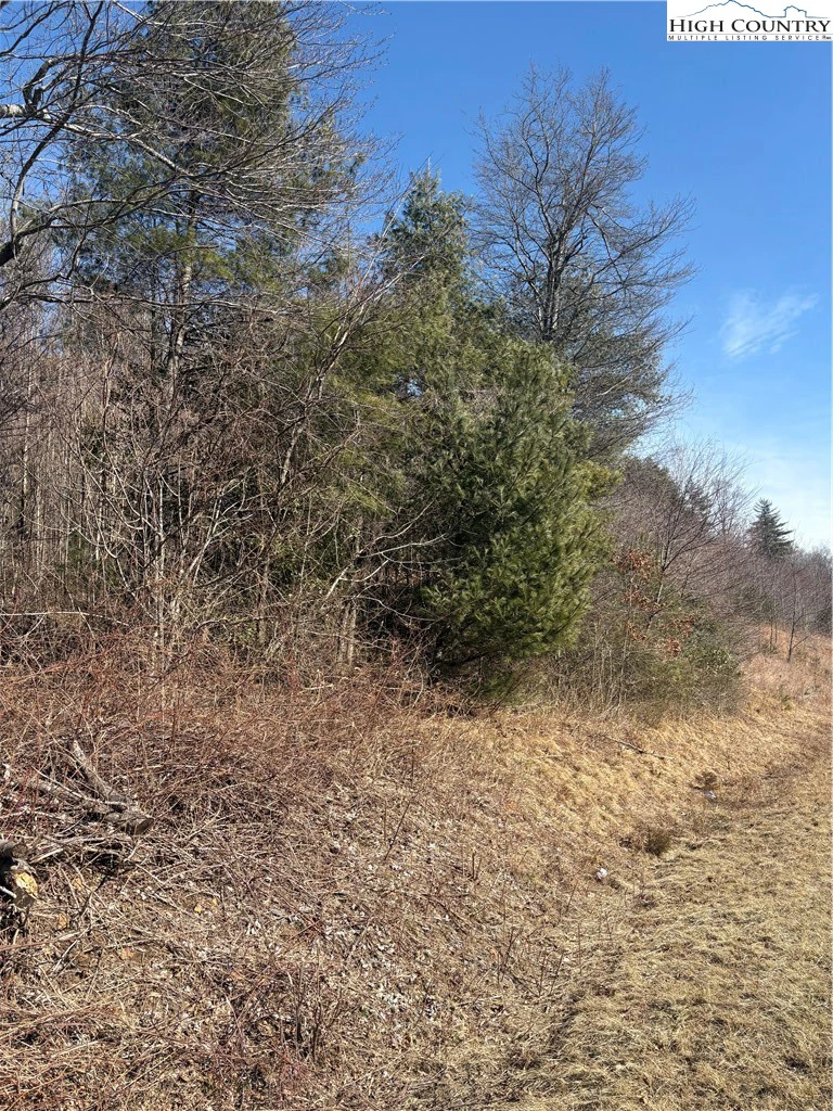 Image number 6 for the current listing