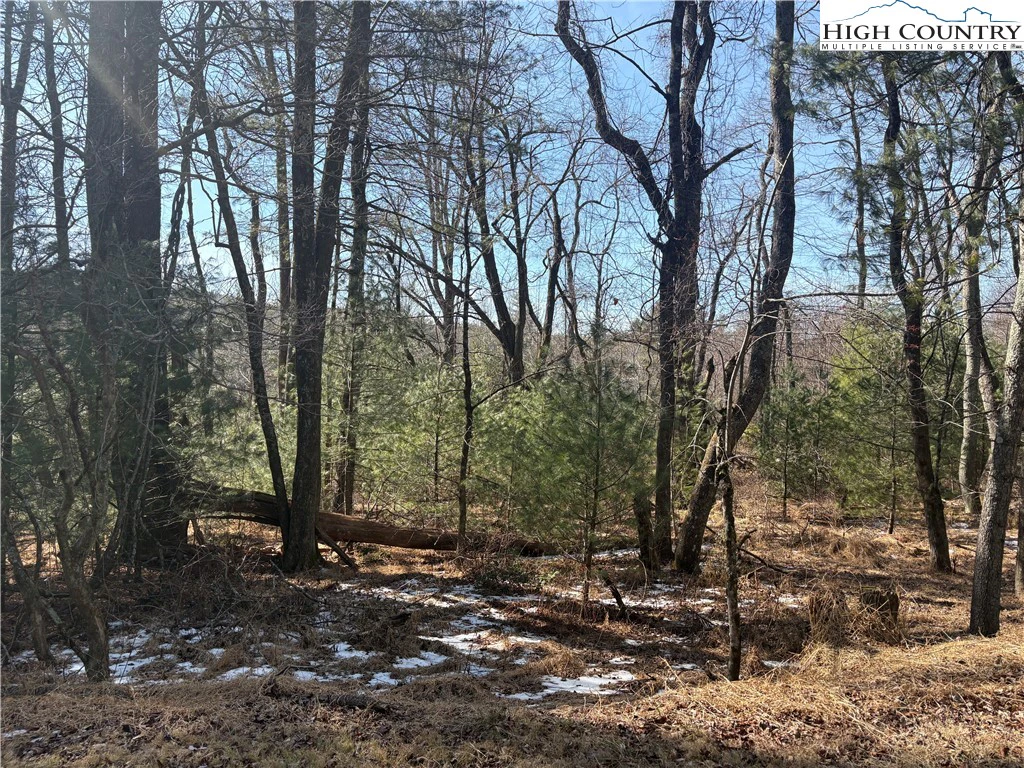 Image number 9 for the current listing
