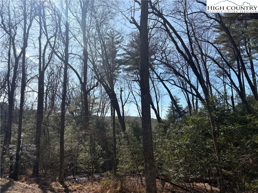 Image number 10 for the current listing