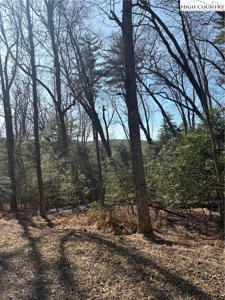 Image number 11 for the current listing