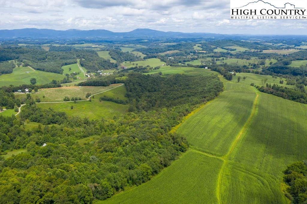 Image number 4 for the current listing
