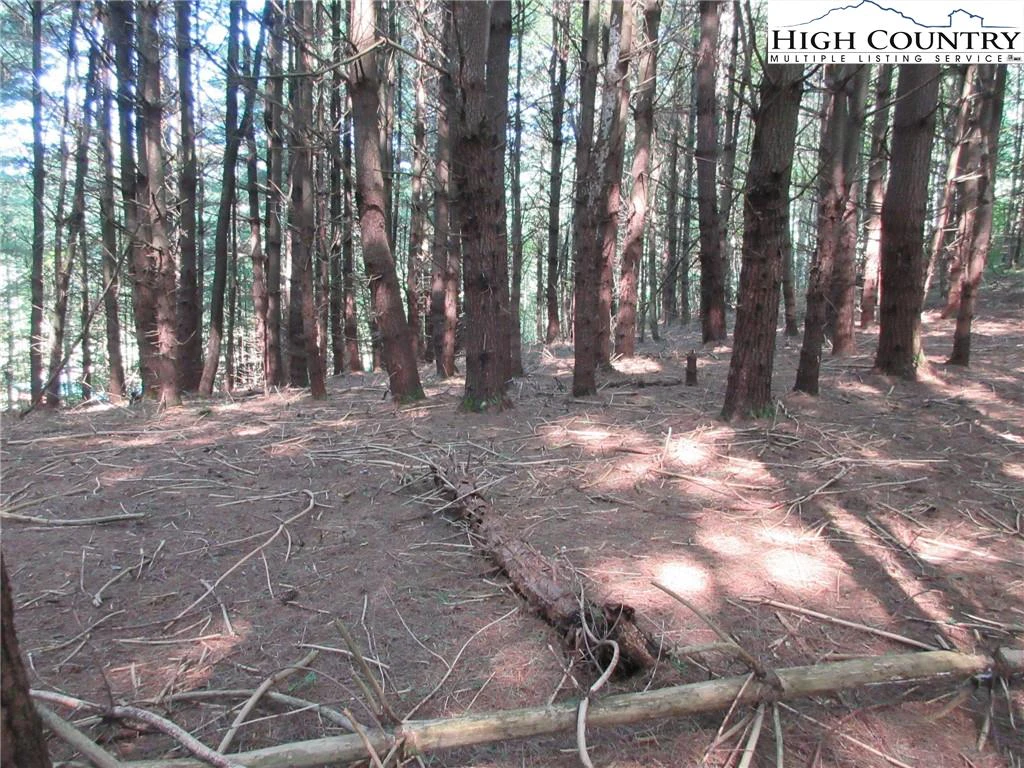Image number 3 for the current listing