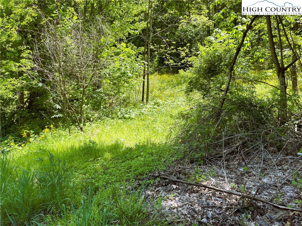 Image number 1 for the current listing